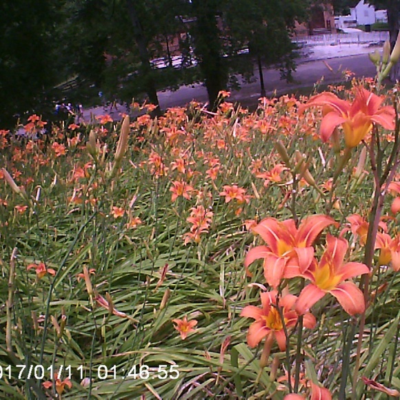 Meet your Posher, Kelly - Picture 1 of 1